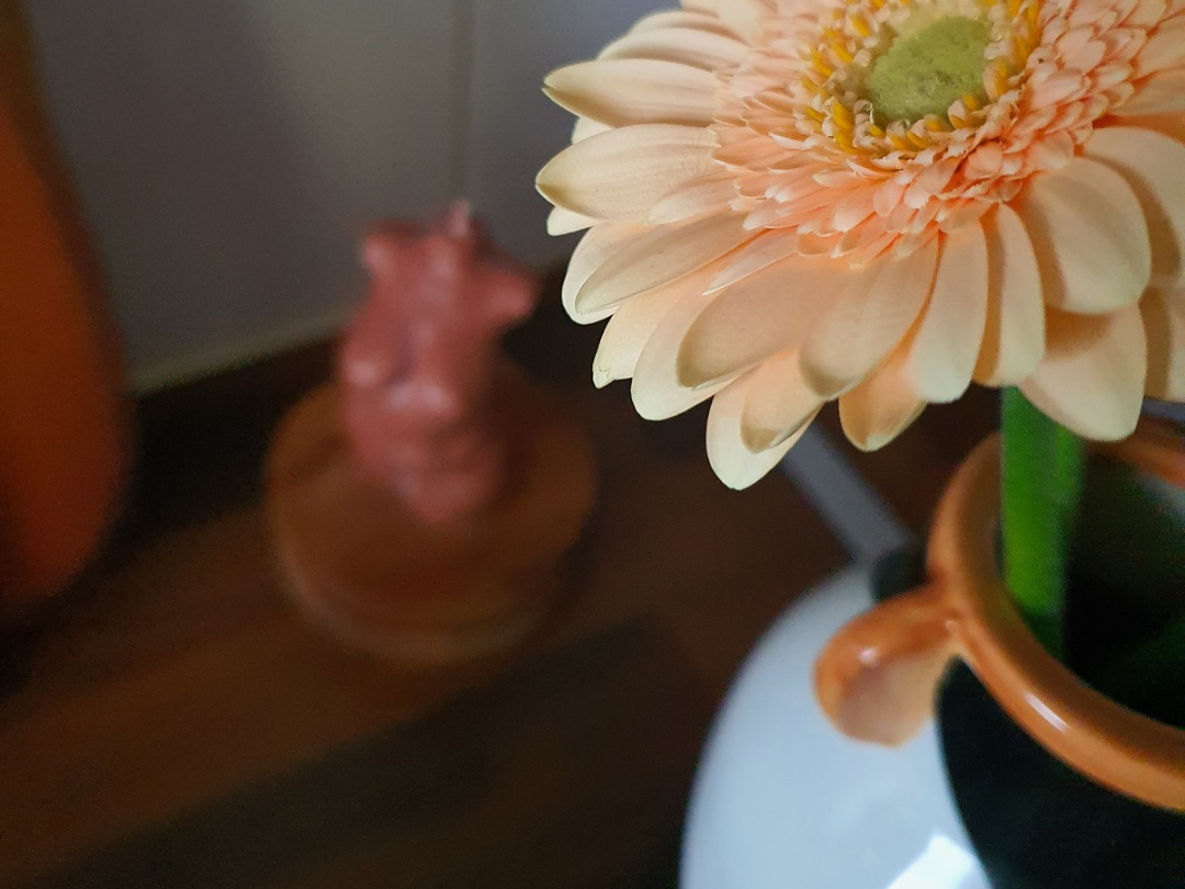 Bougie femme, fleur orange et vase vache chez Fassi.